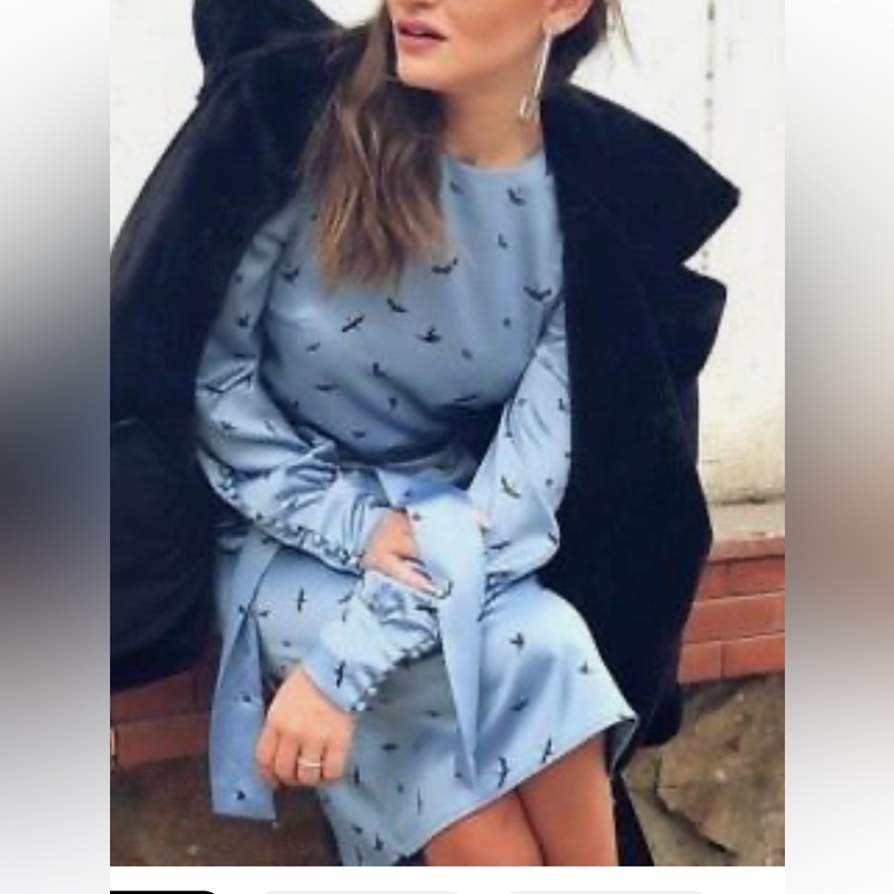 Blue Patterned dress crane birds 🦅 in black.